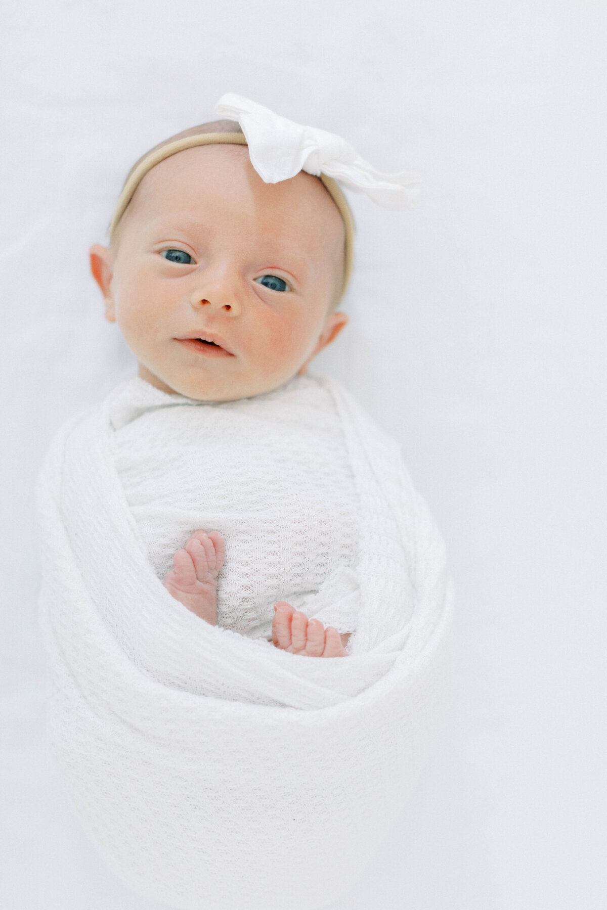 winston-salem-newborn-photographer41
