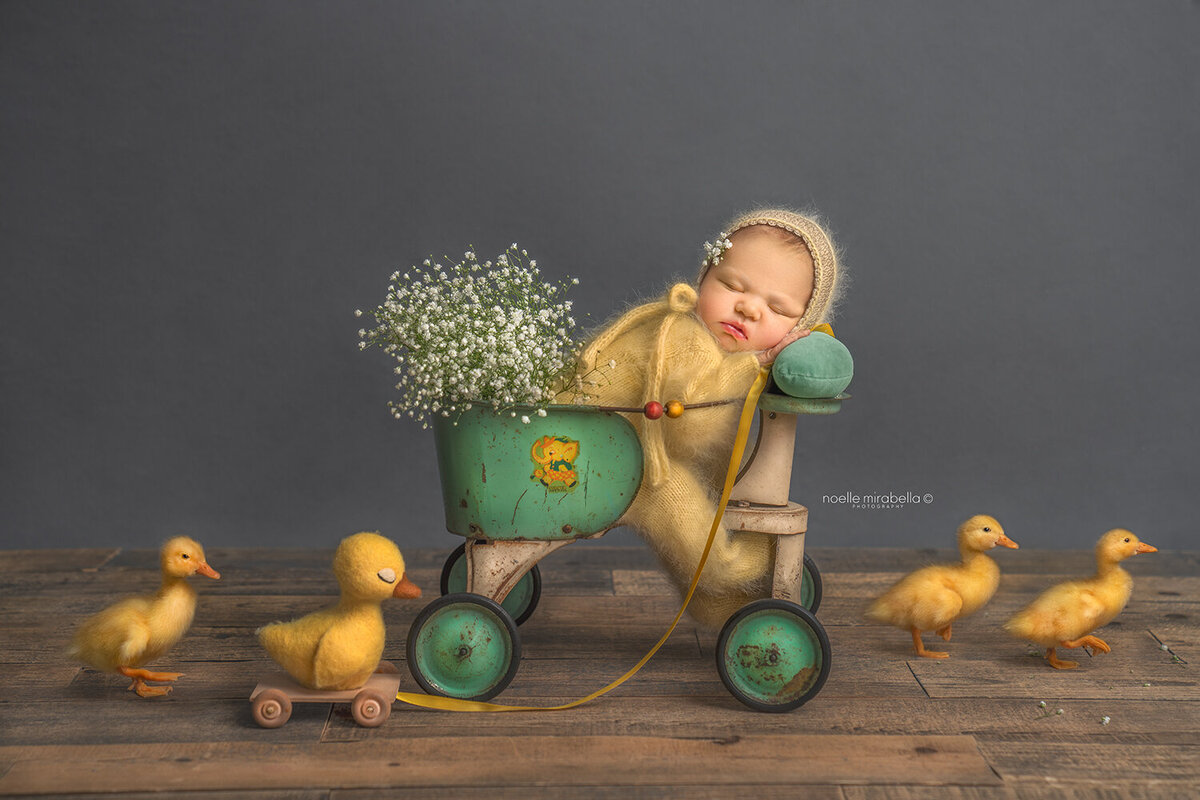 Newborn baby in vintage doll stroller with ducklings marching in a line.