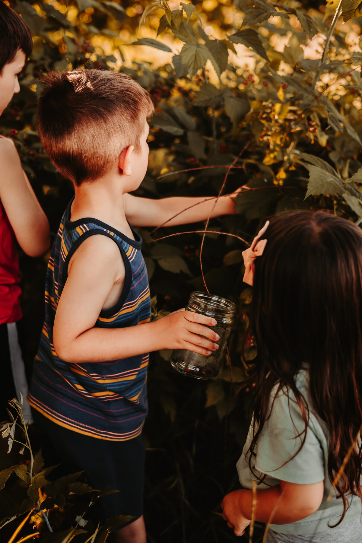 Nature photography - Amanda Nicholle Photography