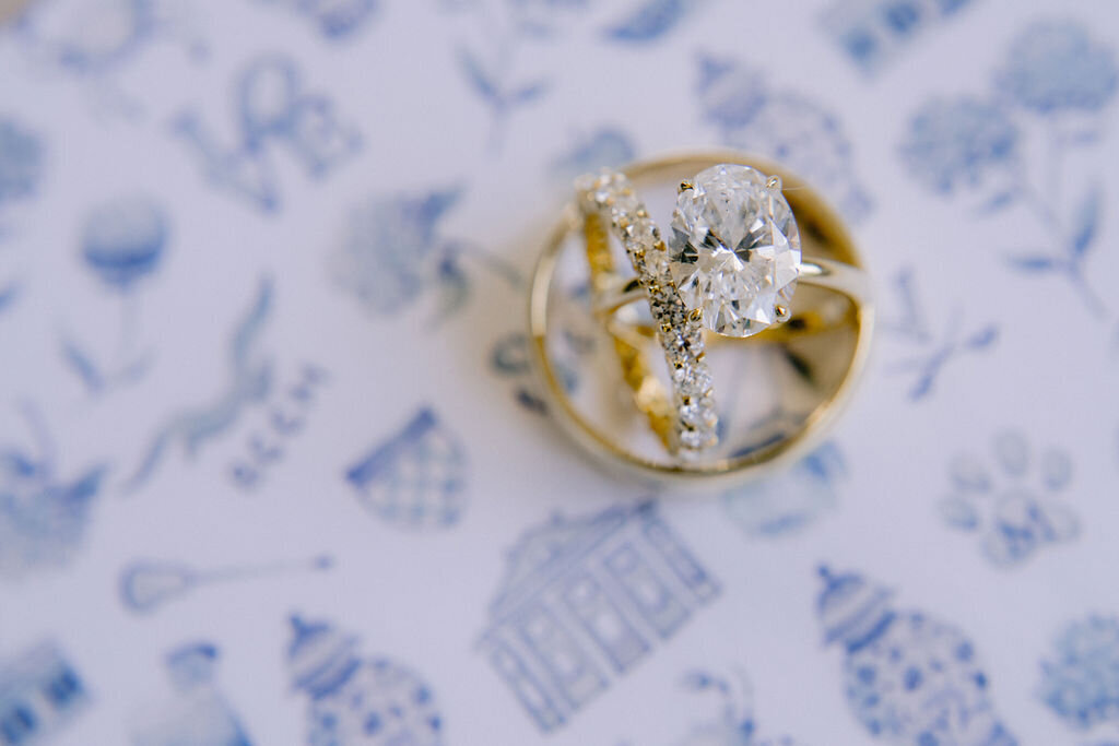 NikkiSanterre_EastCoastLuxuryWeddingPhotographer_CliftonInnWedding_Sky&Ryan-2