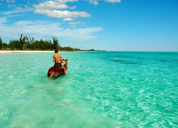 man riding a horse through Tropical water