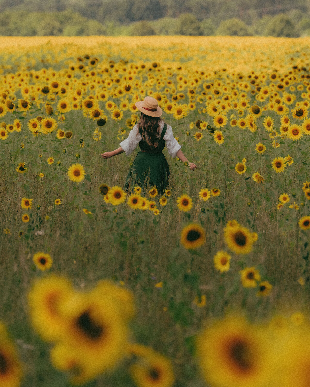 52_sunflowers_helloemilie