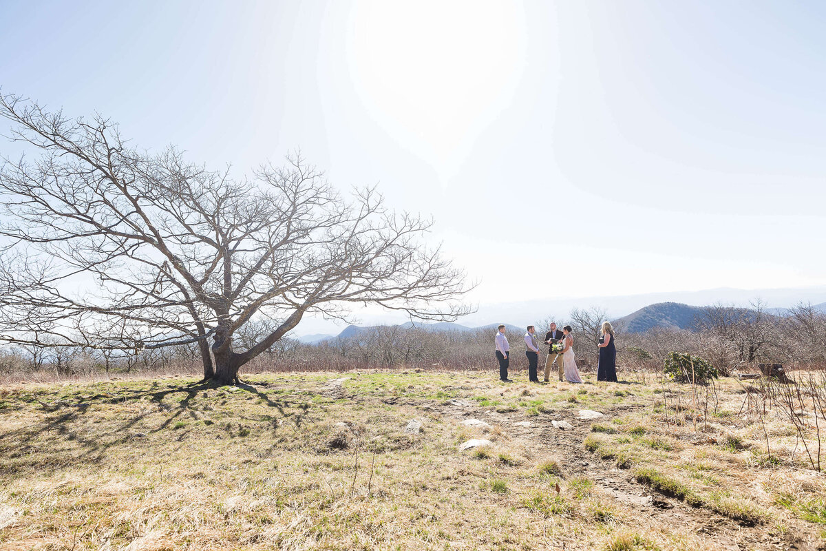 Craggy-Gardens-NC-Elopement-19
