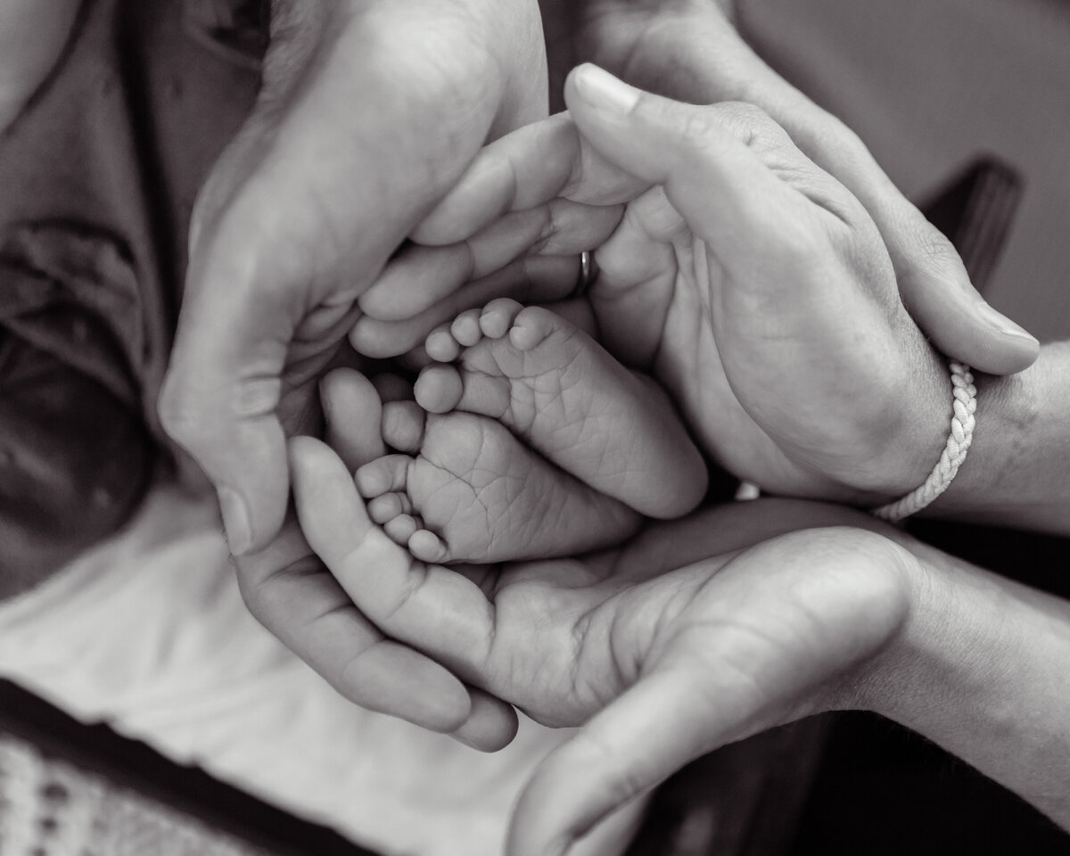 AStorytellersLensWebsite-30