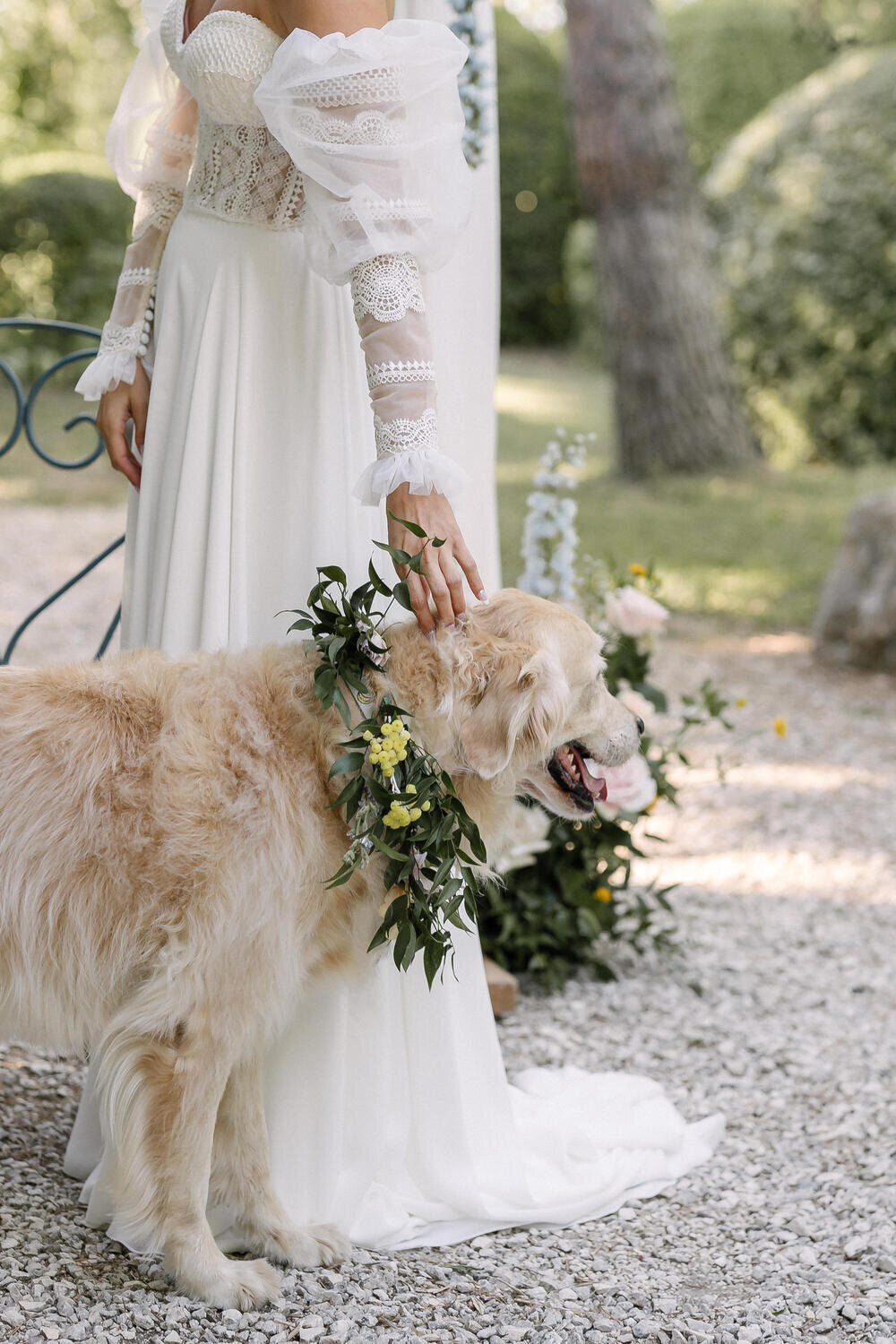 collier-chien-en-fleurs