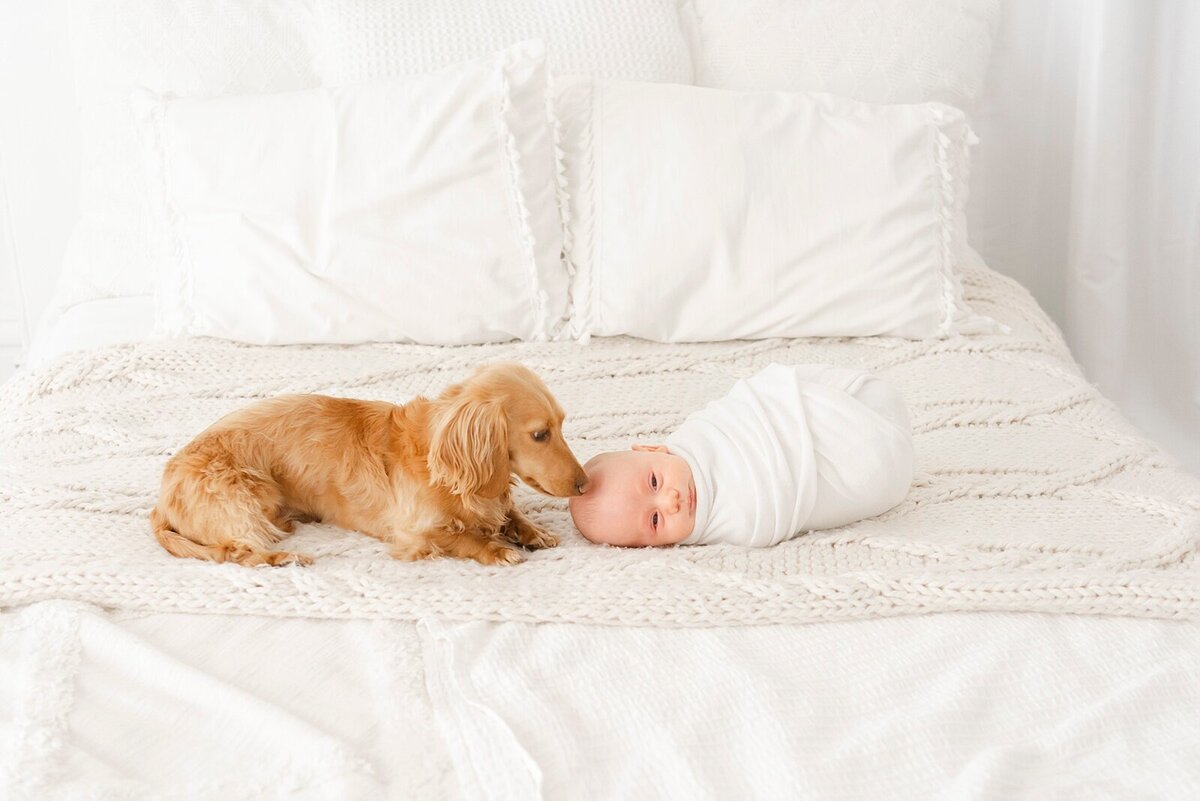 boston_newborn_photography_9552