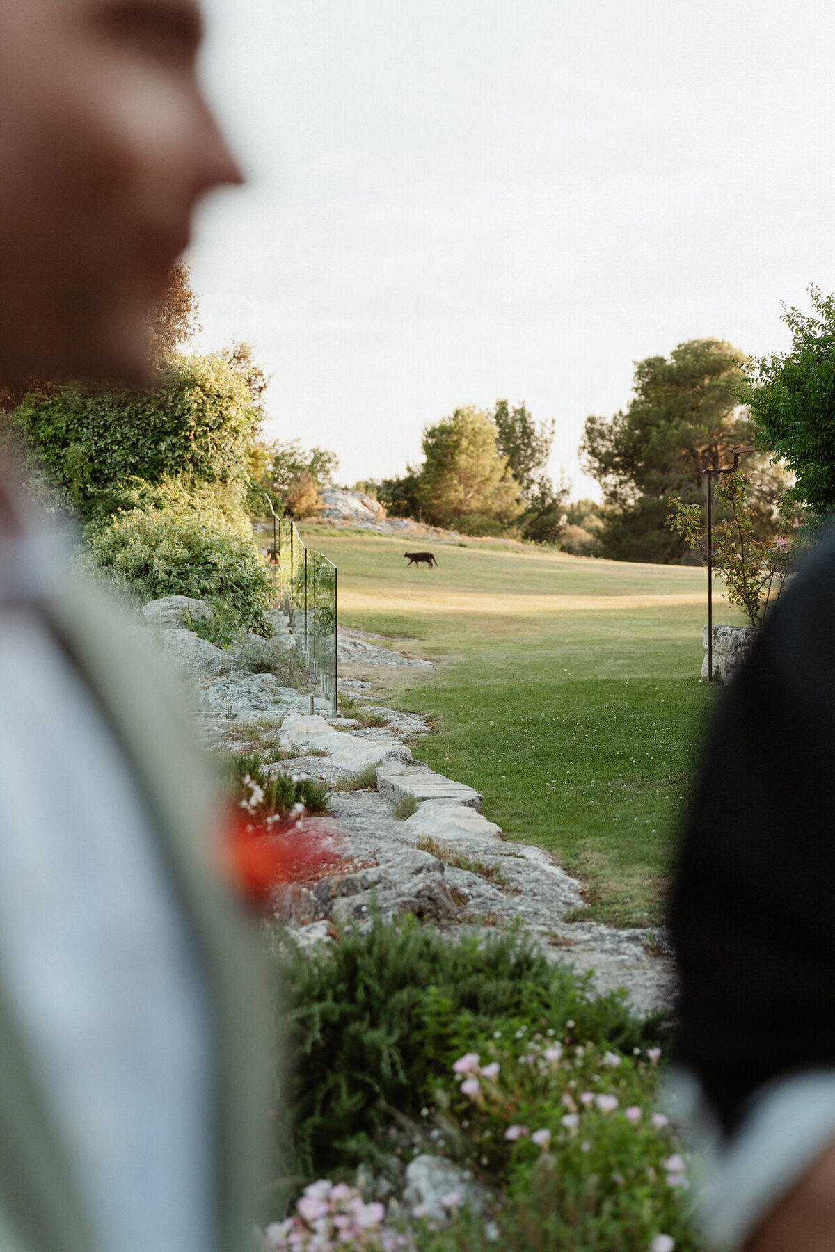 eve-oliver-wedding-753
