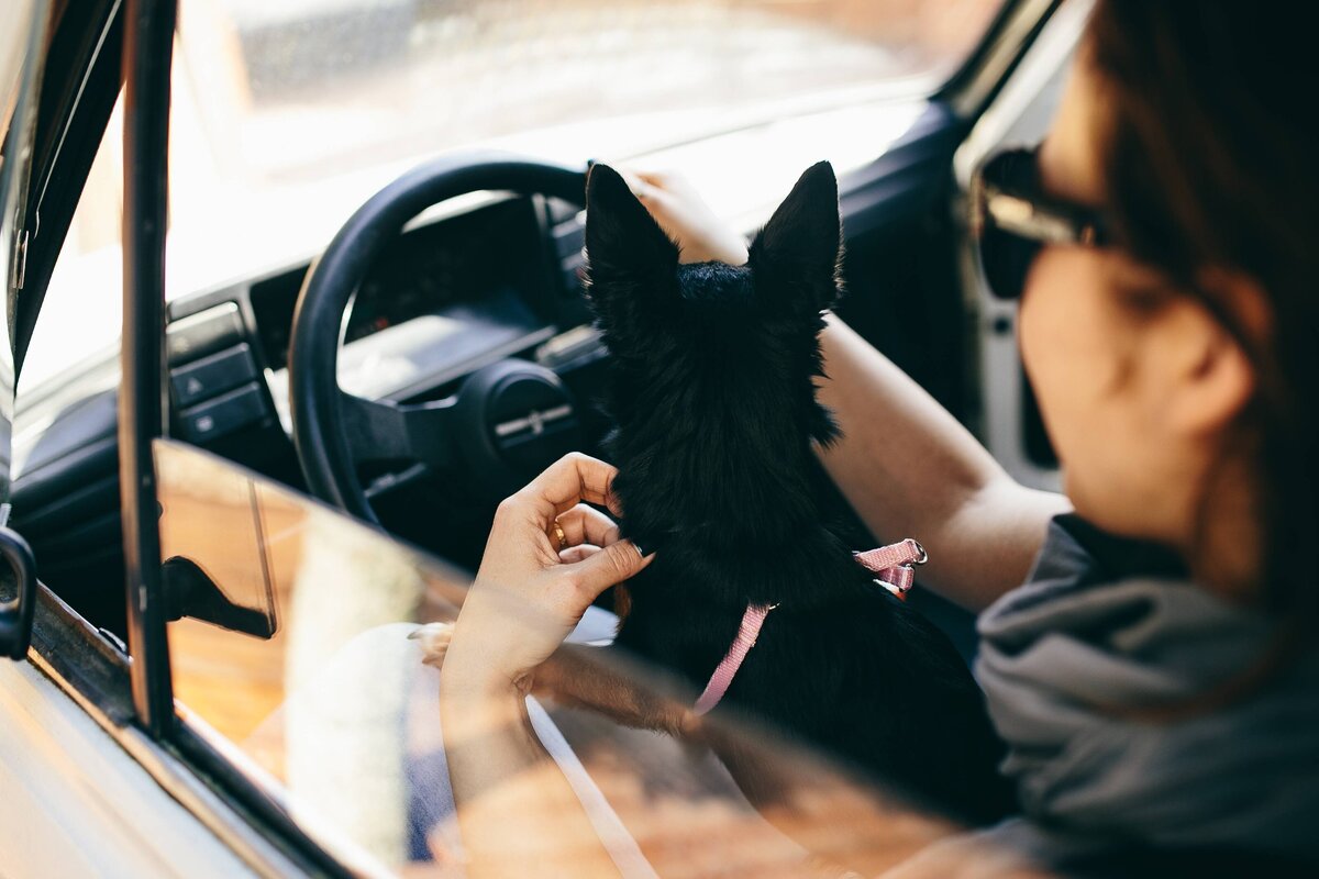 kaboompics_woman-in-the-car-with-her-dog-2986