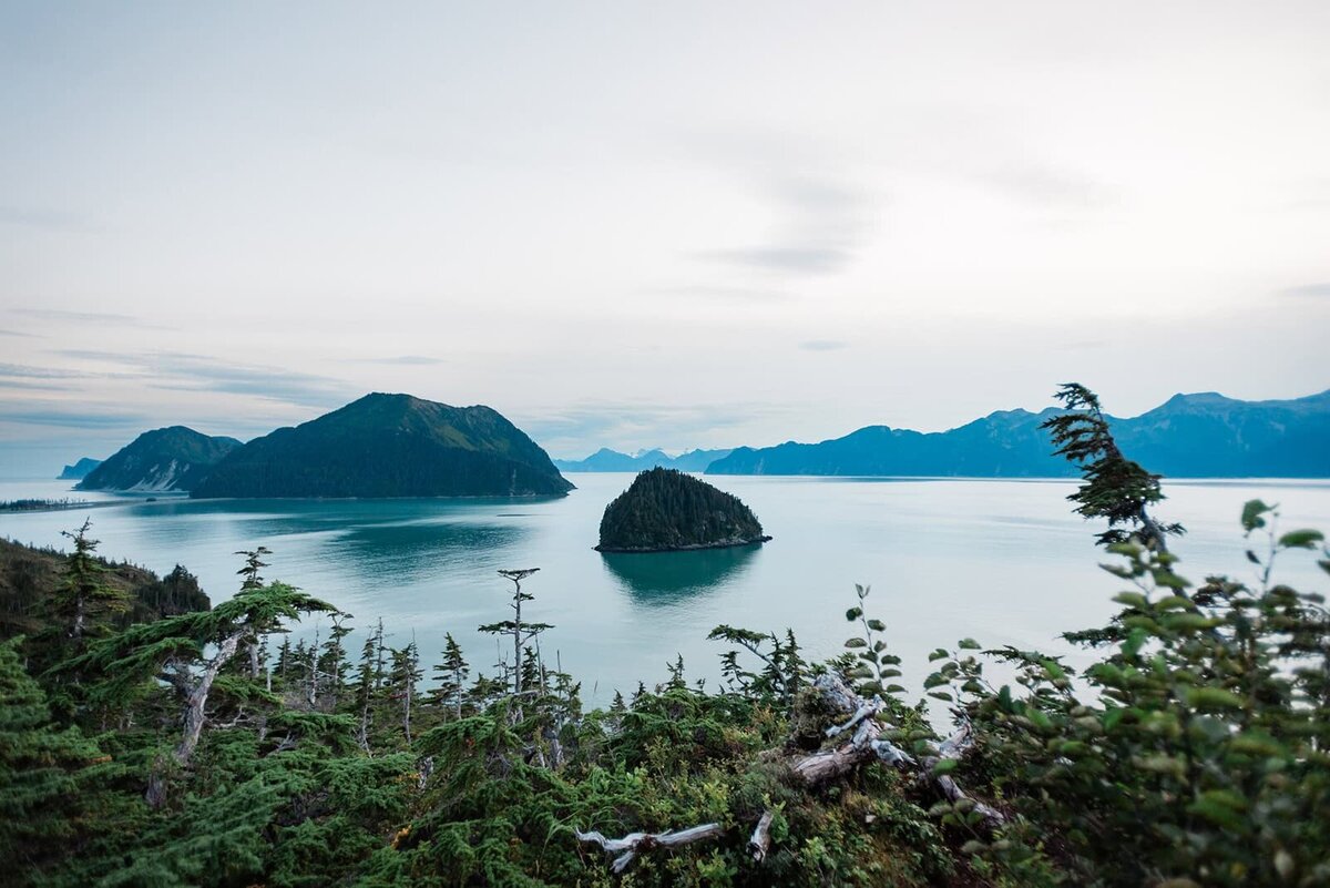 A view from the top of a ridgeling during a light hike during a two day Kenai Fjords Adventure Luxe Elopement.  In the distance is a tree covered dot of an island, and a larger island with trees and a rocky spit extending off the side in the distance.  The gleaming water of Resurrection Bay shines in the morning light and gray skies and lush green trees fill the foreground. 