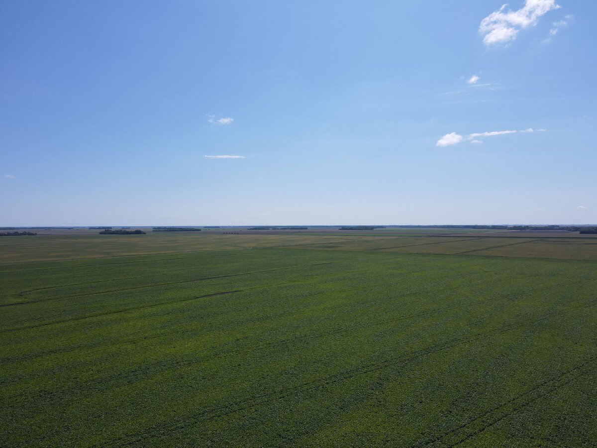 DJI_0884