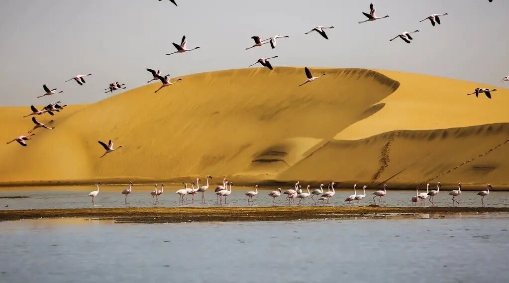 Silversea Namibia