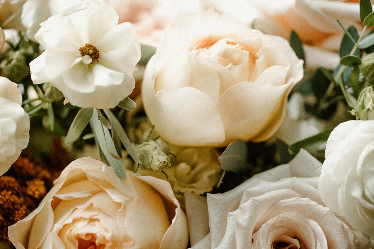 roses