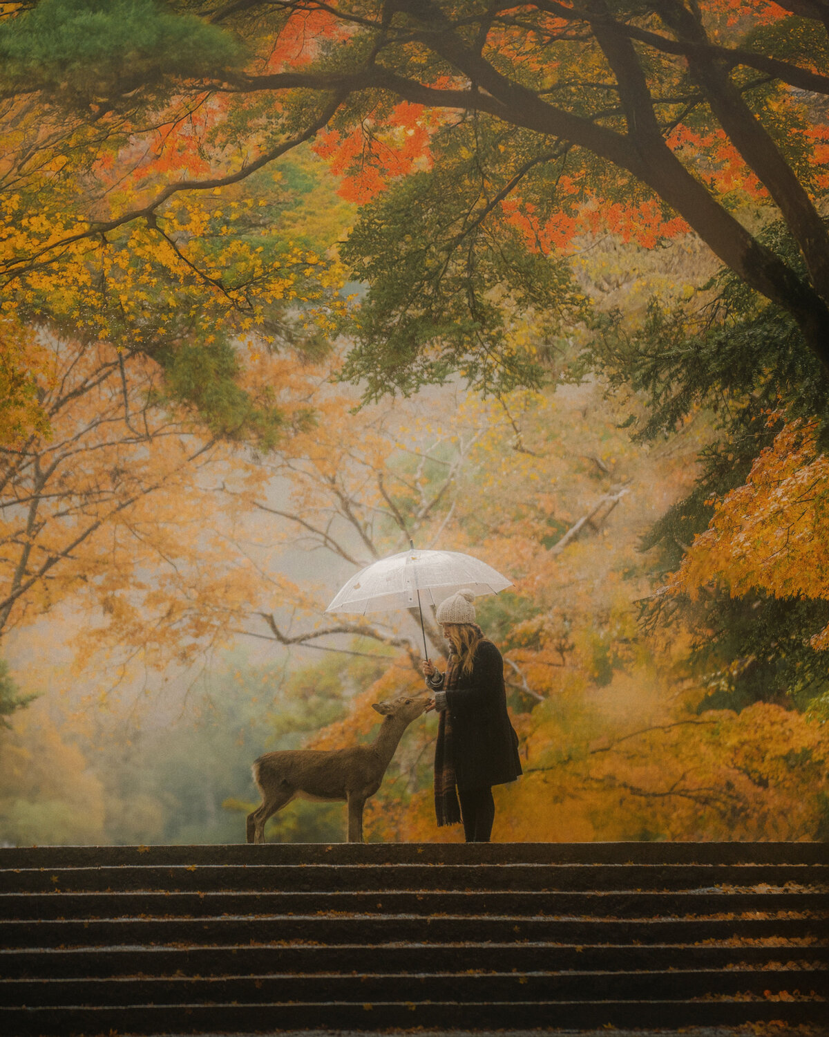 47_japan_helloemilie