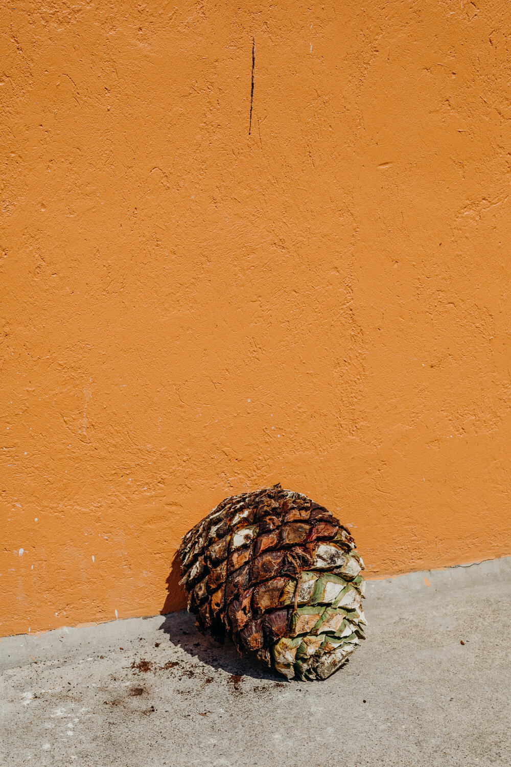 nashville-branding-commercial-photographer-tequila-tc-craft-agave