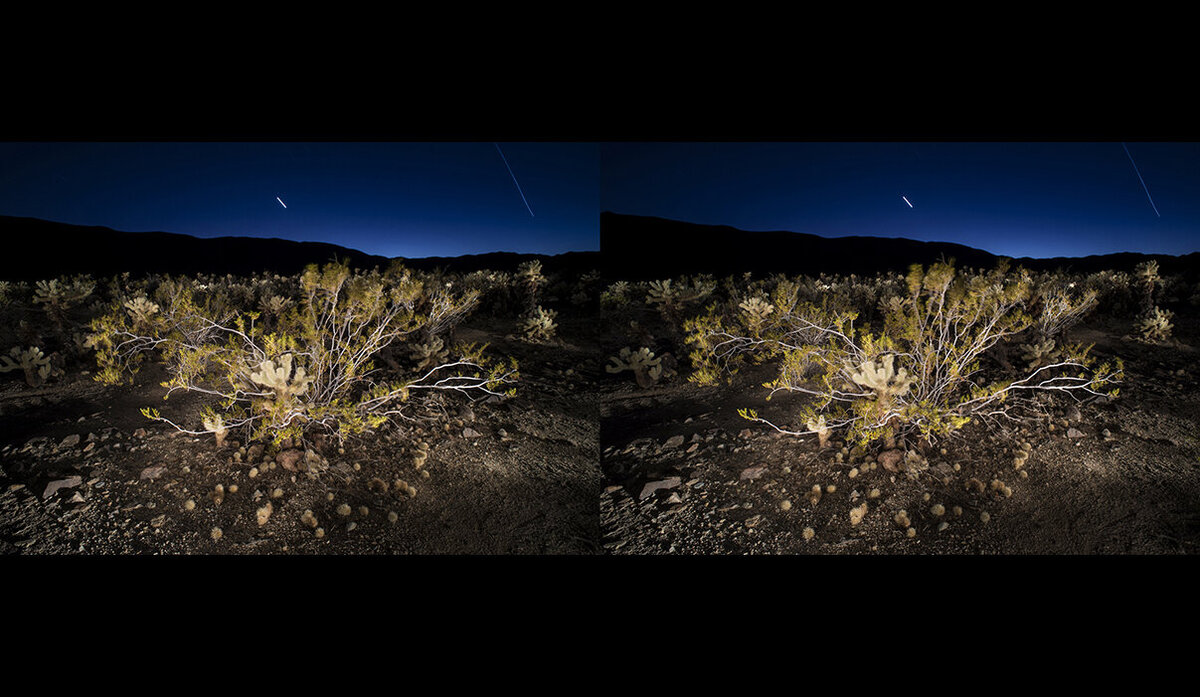 Joshua Tree Winter Solstice_5