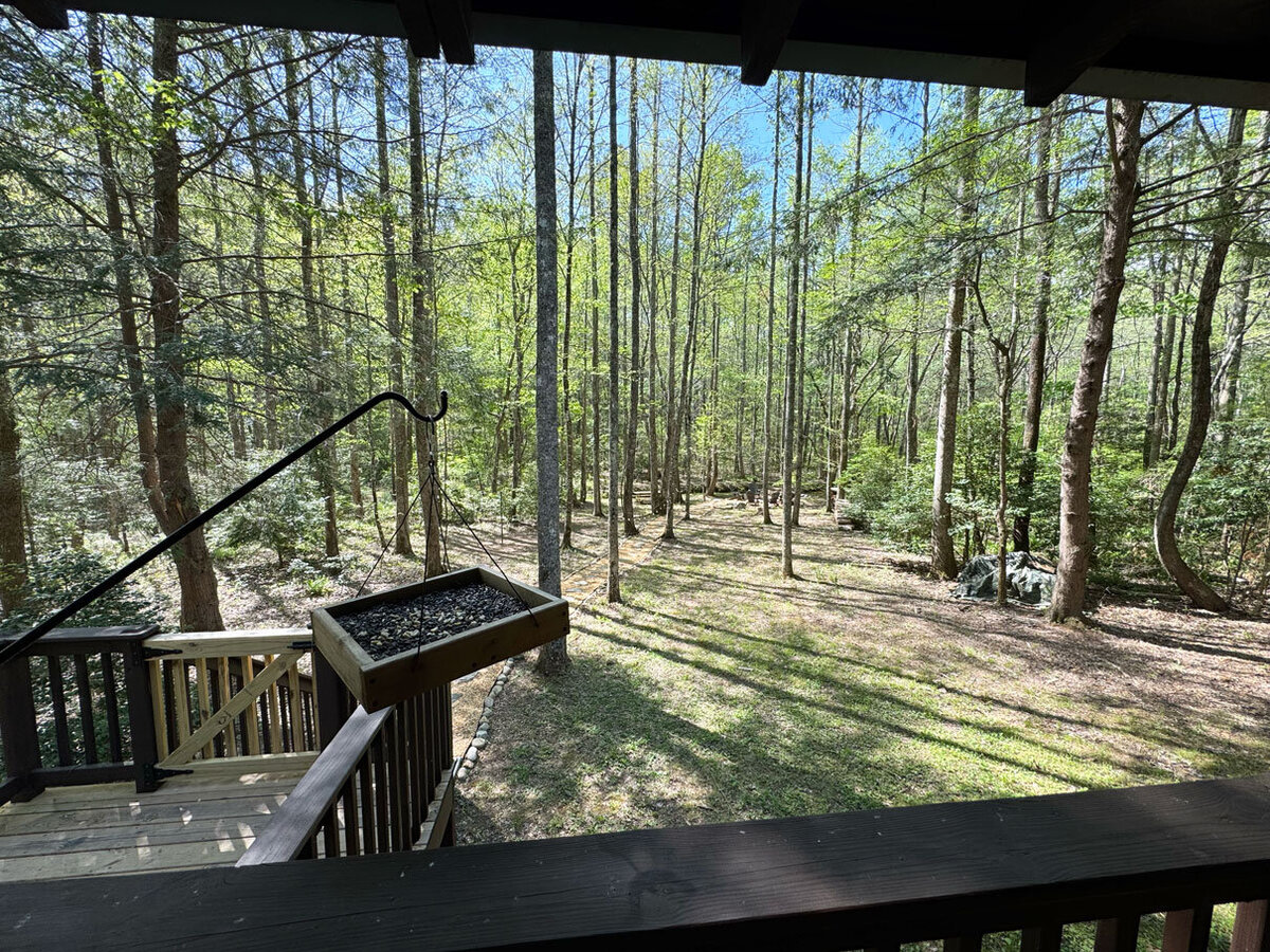 Shady-Grove-Cabin-Blue-Ridge-GA-Deck-Yard-01