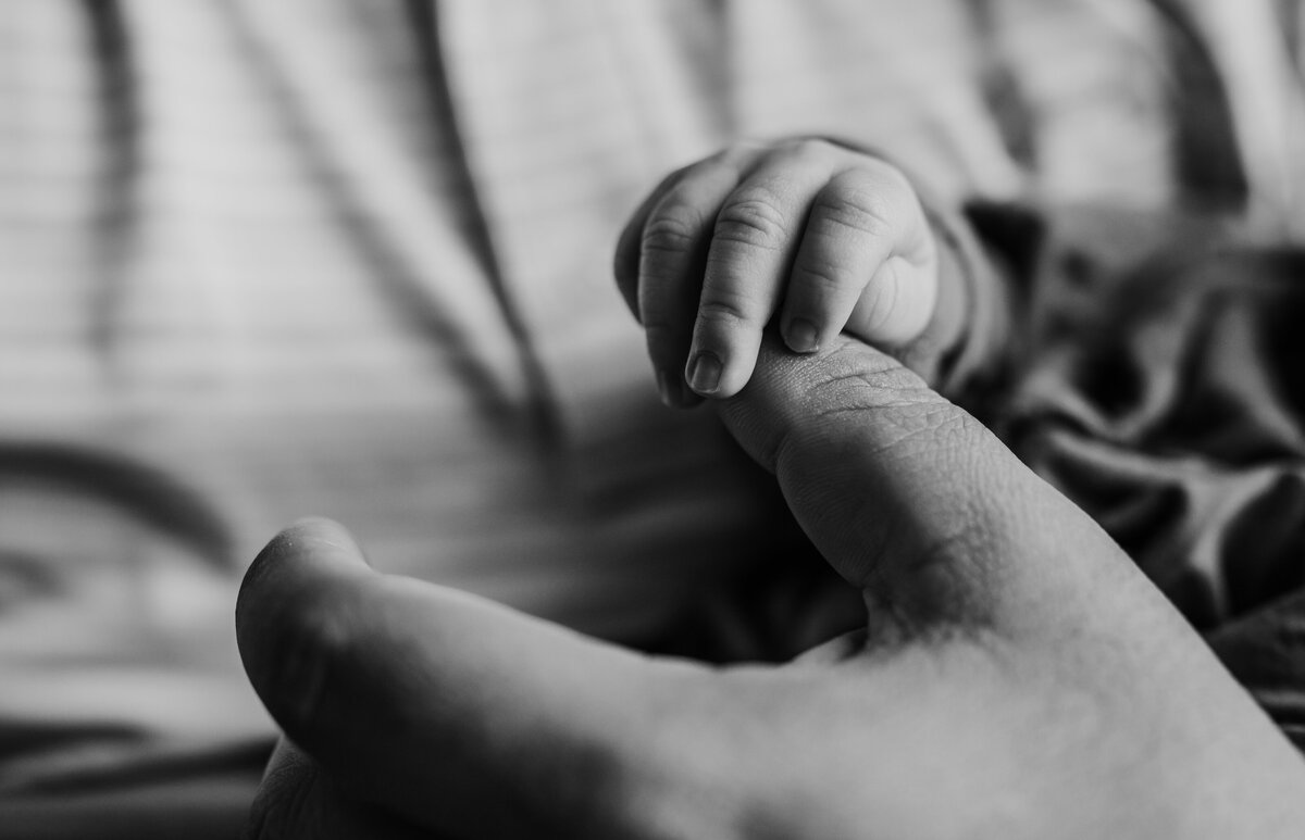 Newborn Photographer, baby's little hand latches onto dad's thumb