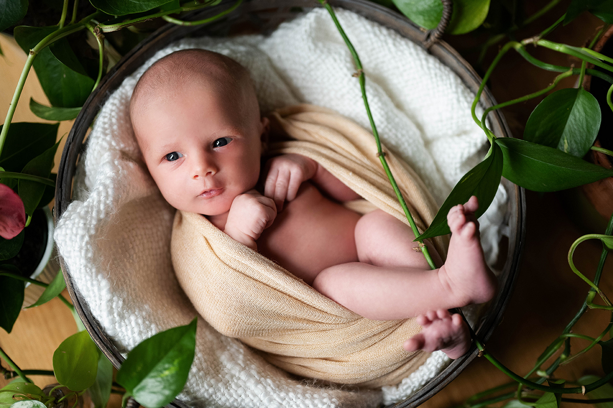 in home newborn photography springfield mo