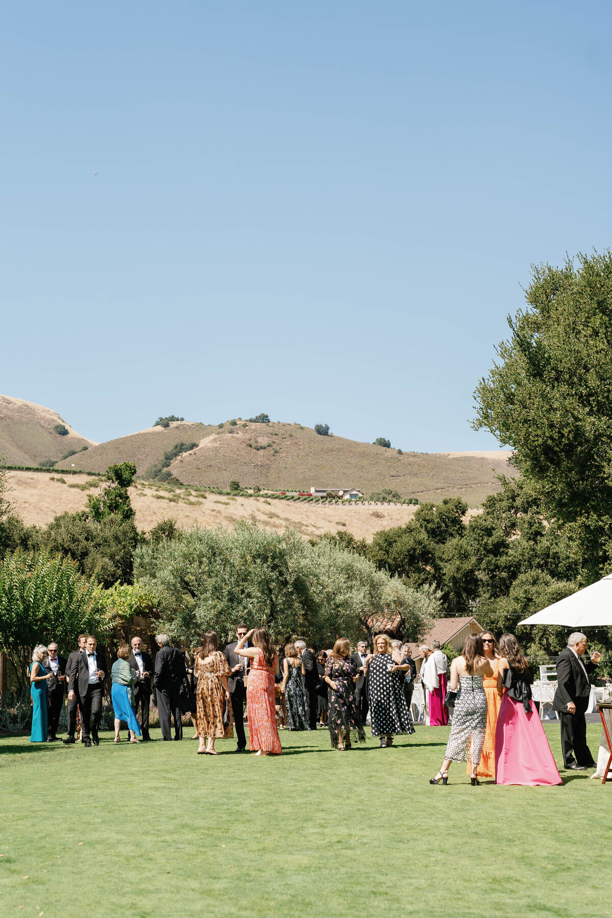 Holman-Ranch-Wedding-Carmel-Photographer-54