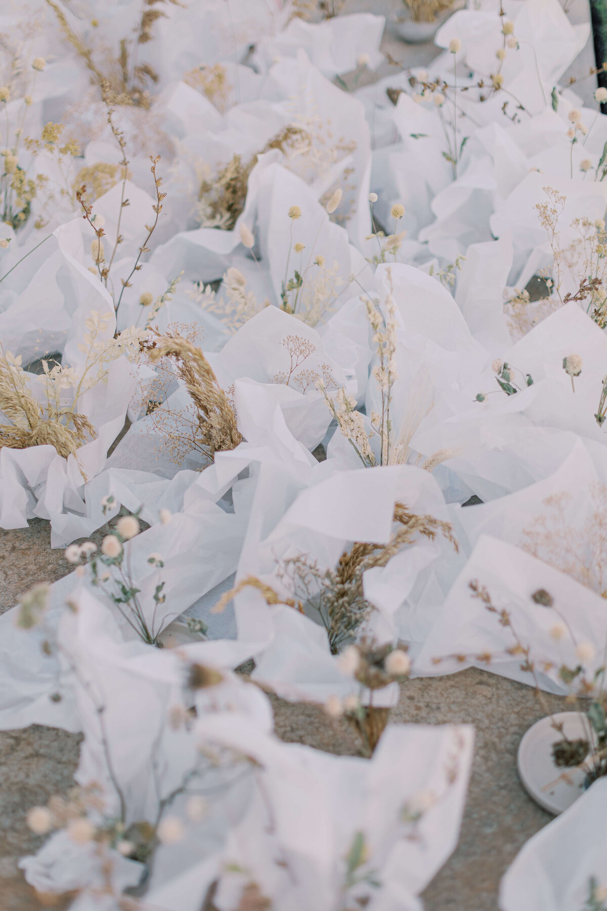 808IMG_9218.jpg_blackoak_mountain_vineyards_wedding_photographer_cool_marelestrydom