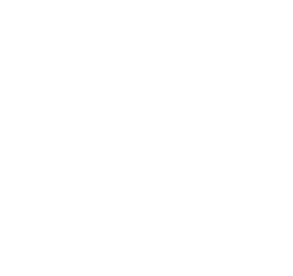 white star_proof final_ white star-01