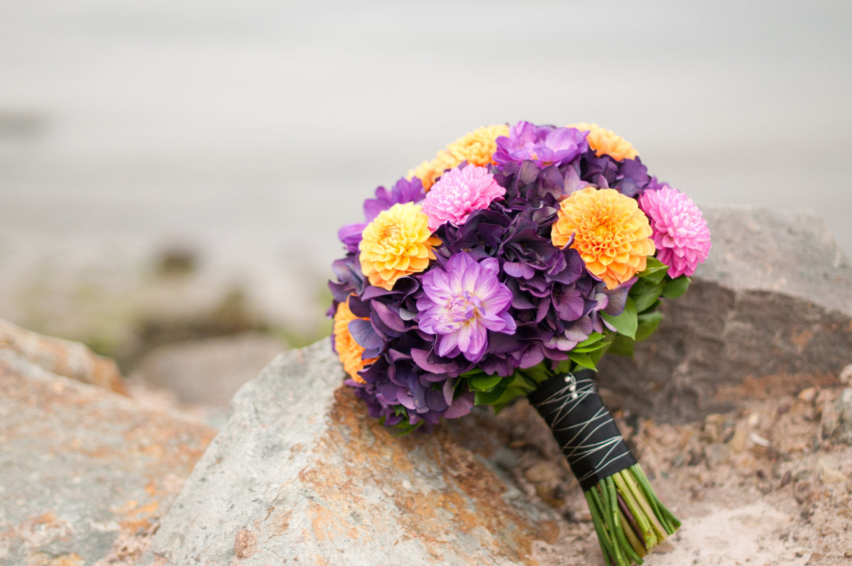 Marriot Coronado Wedding