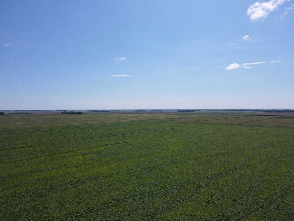 DJI_0885