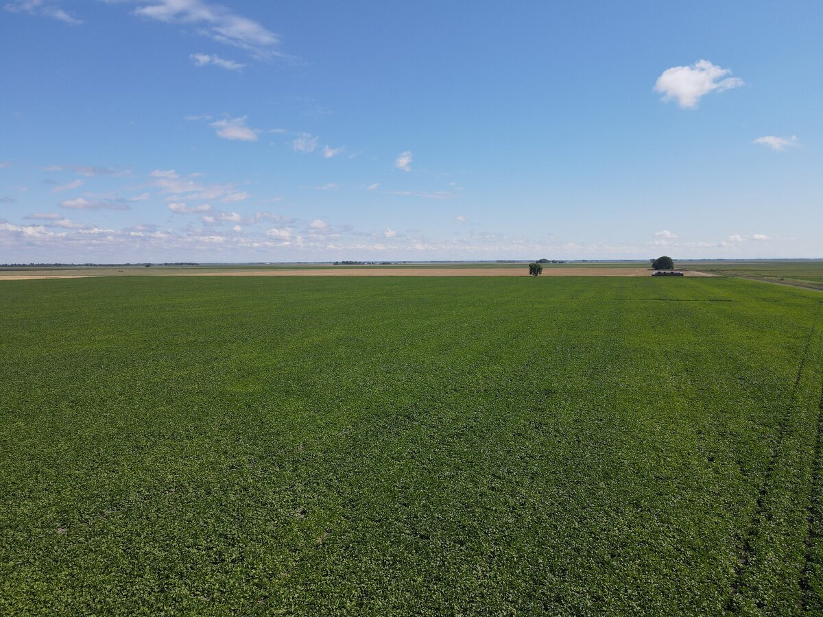 DJI_0865