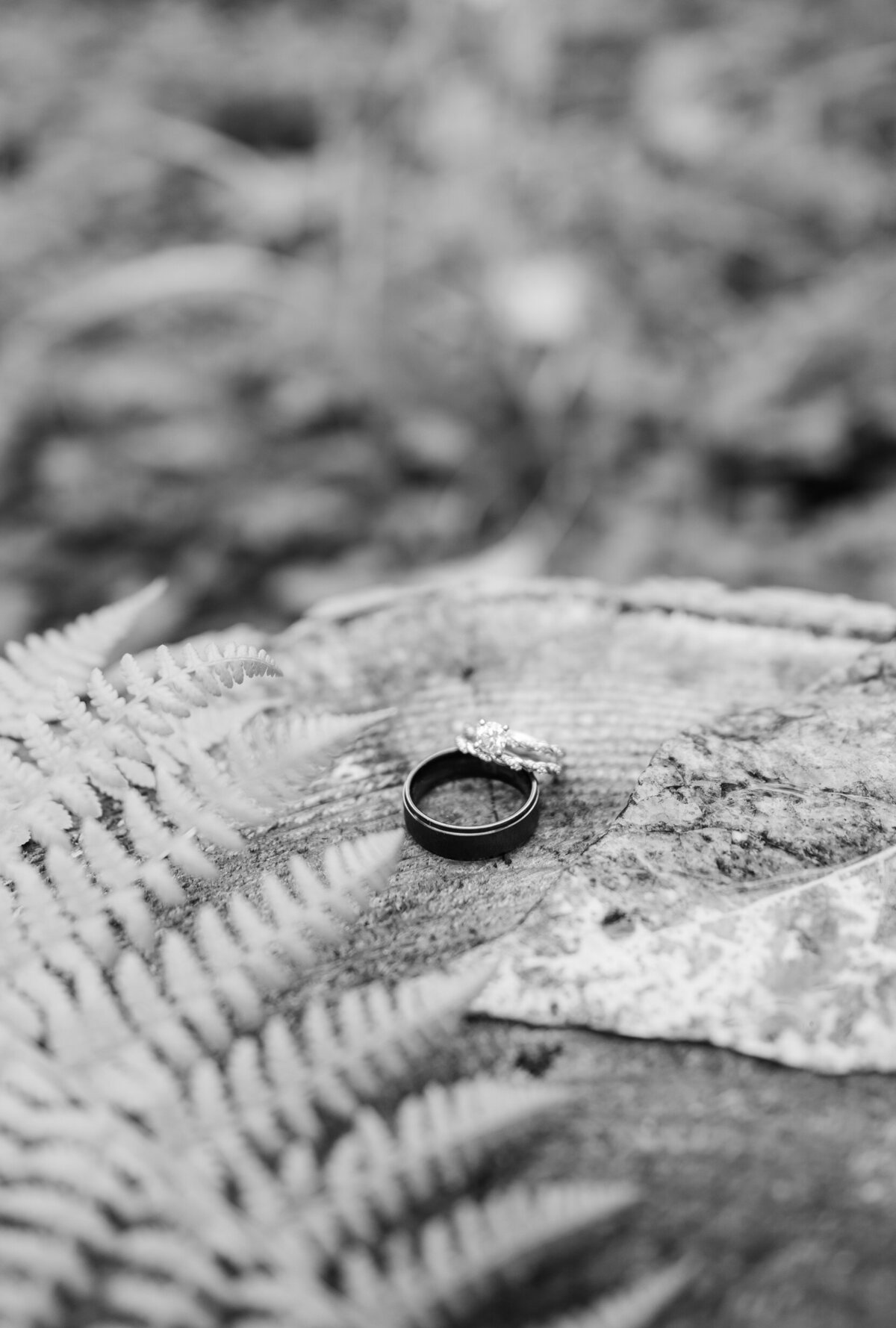 DSC_0191-2