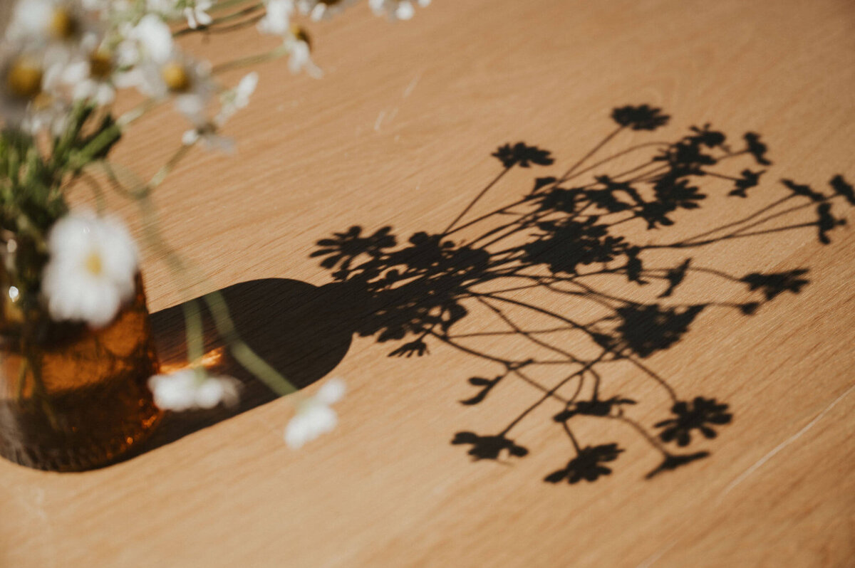 The shadows from flowers in a vase on a table. 