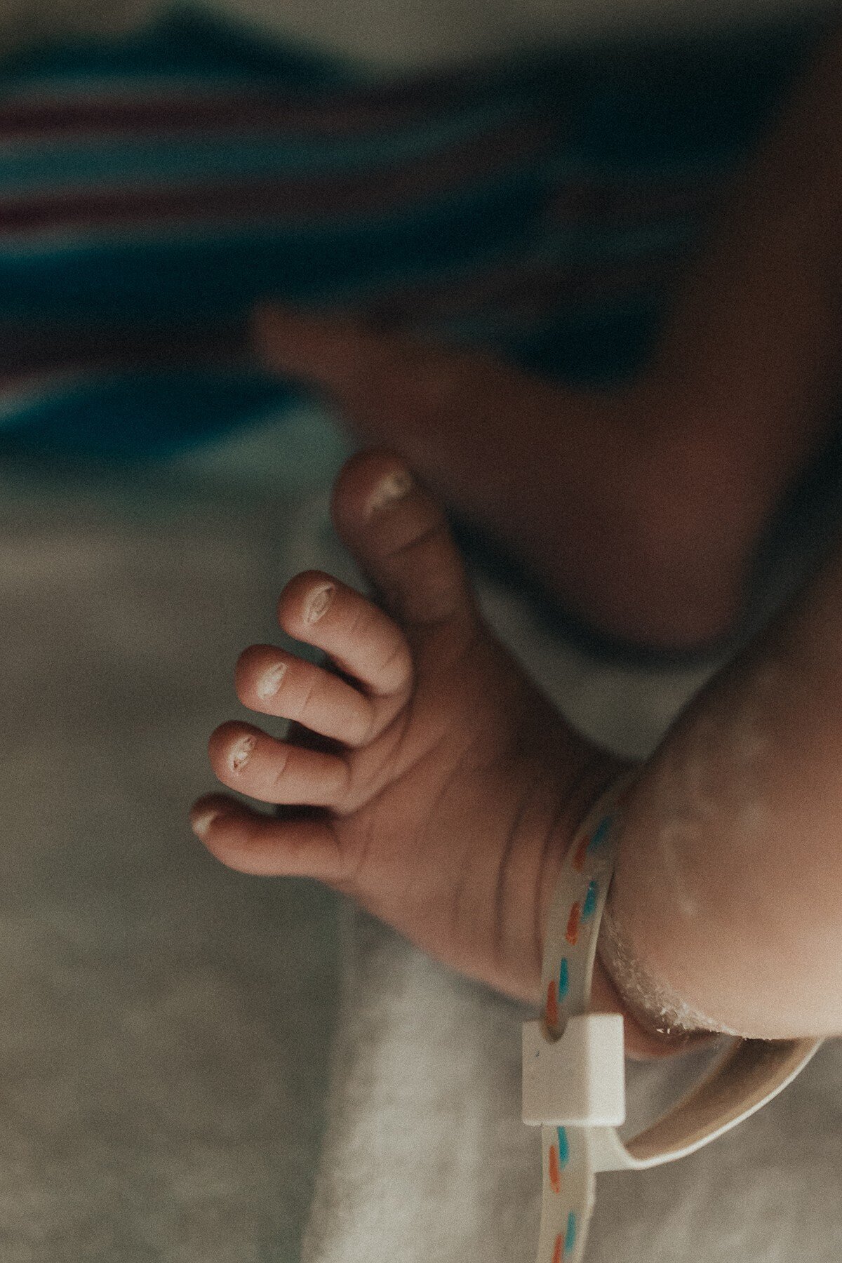 haley carney photography birth photography kankakee illinois