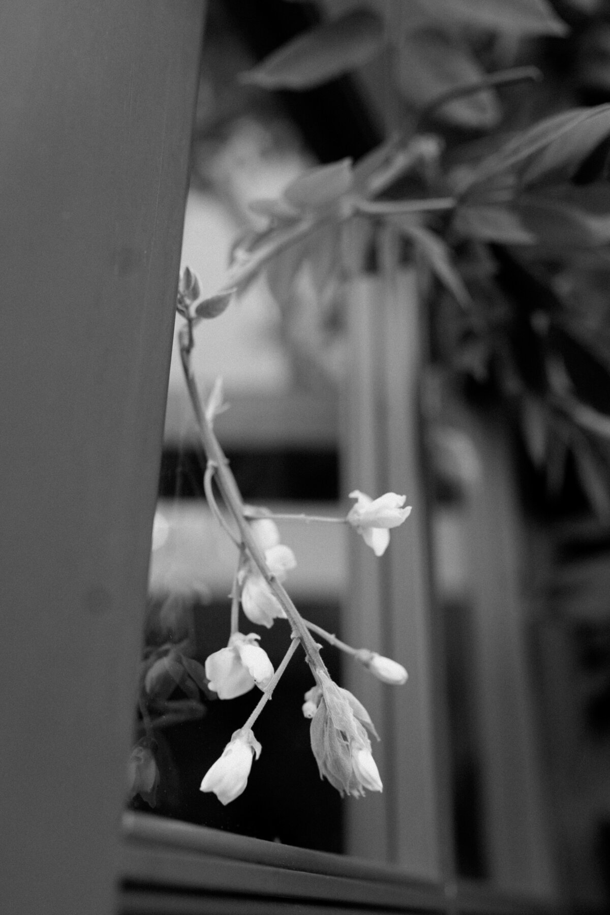 DSC00642
