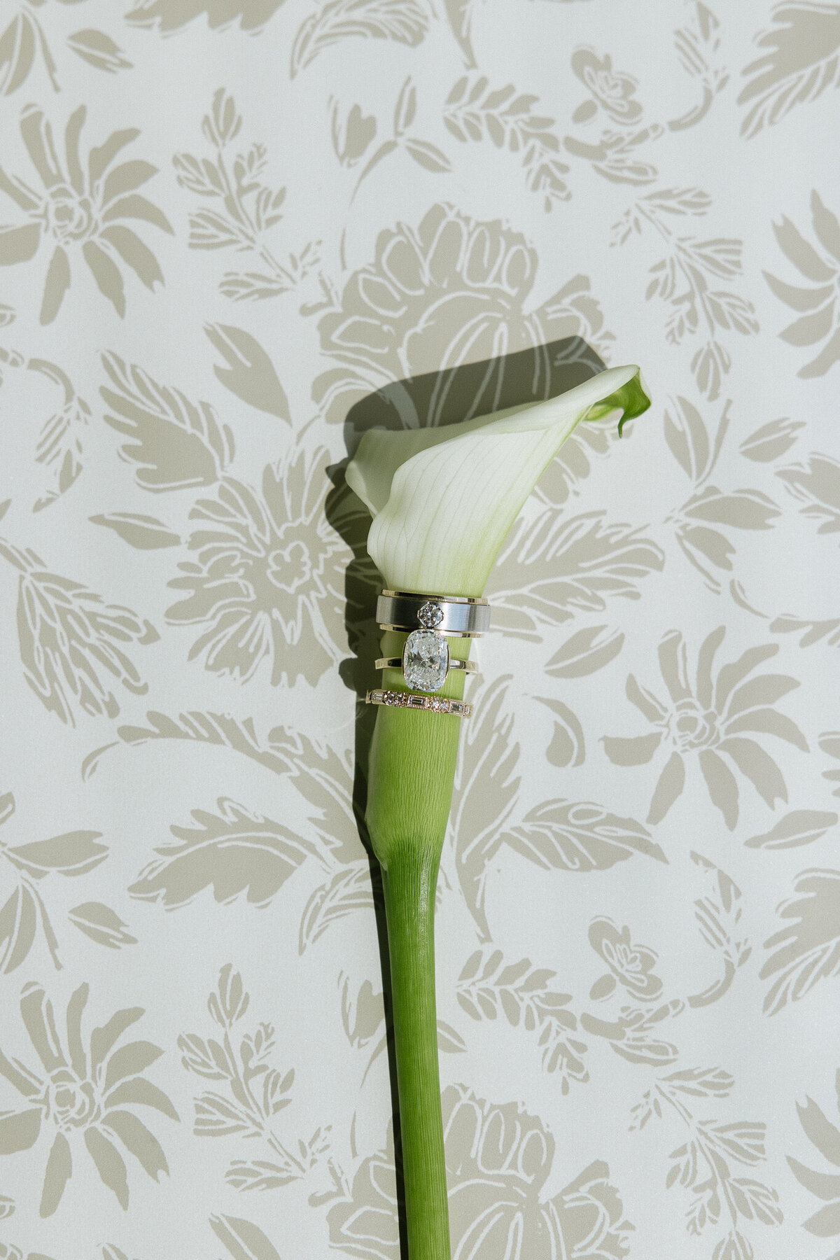 RevelWoodsPhoto-SandmanPreviews-7963