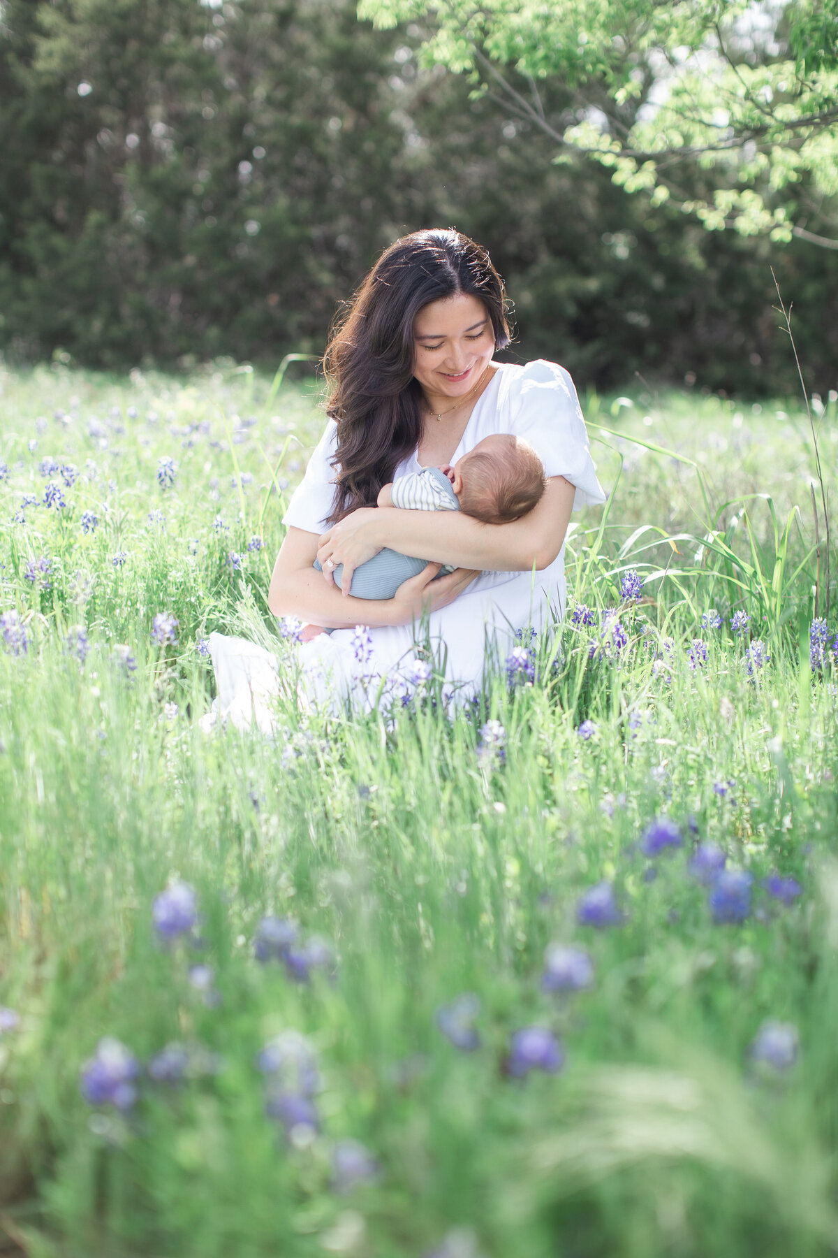 bluebonnet session in Georgetown