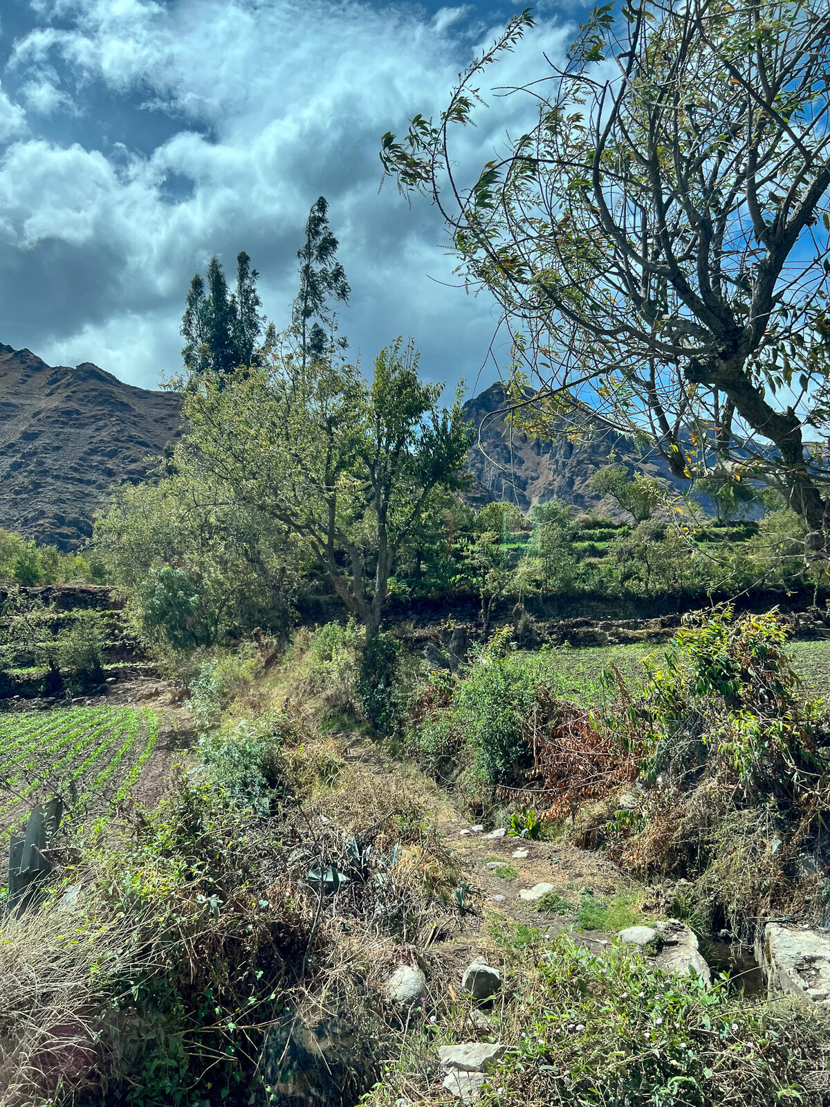 Peru-Machu-094