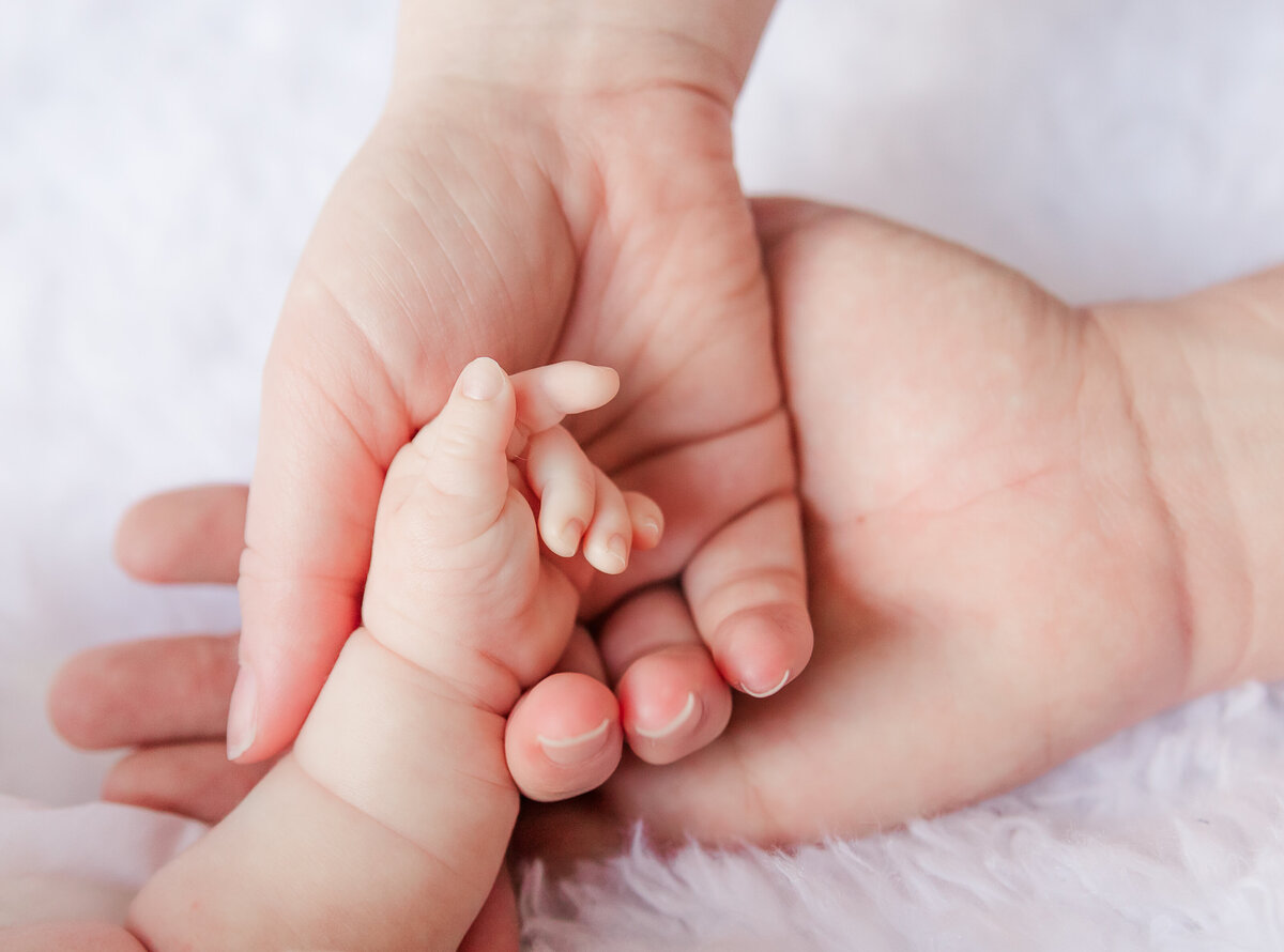 Tampa-Newborn-baby-family-pink-photographer-1