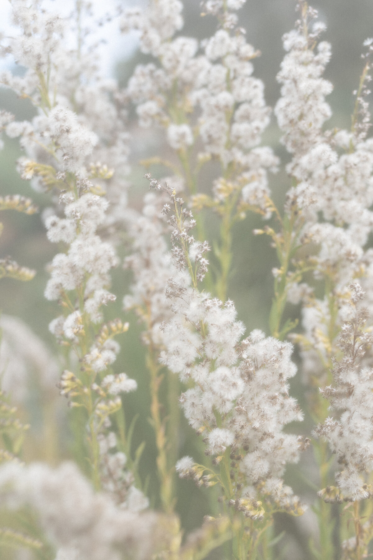 Virginia Wedding Photographer Hannah Malloy-76