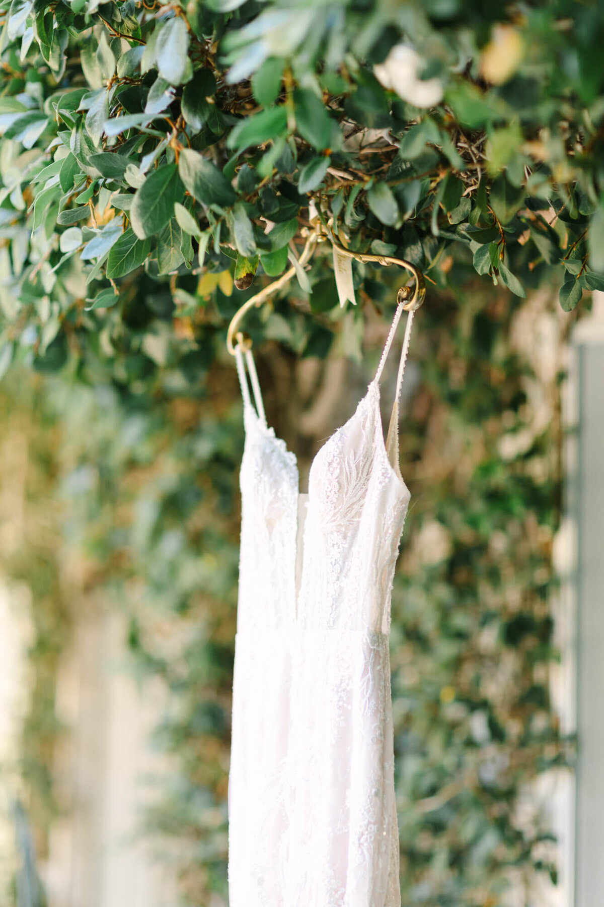 A delicate white lace wedding dress hangs on a gold hanger from a lush green tree branch.