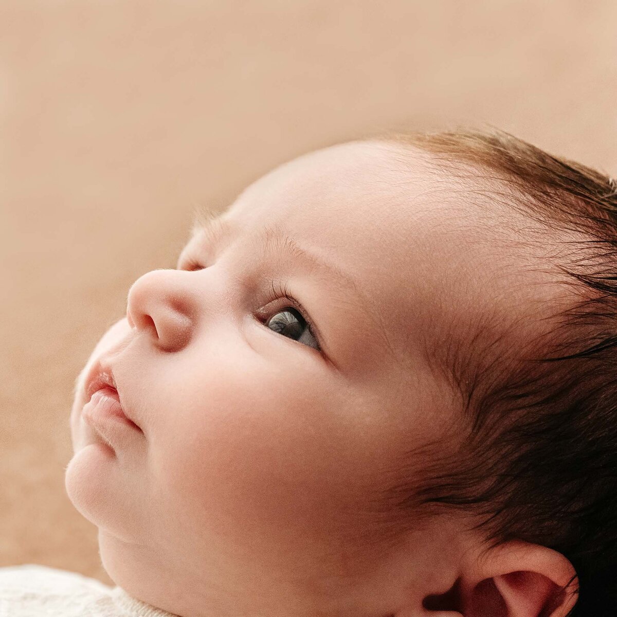 memphis newborn photography by jen howell