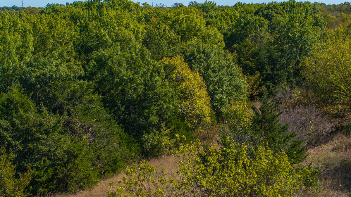 DJI_20251021143006_0116_D