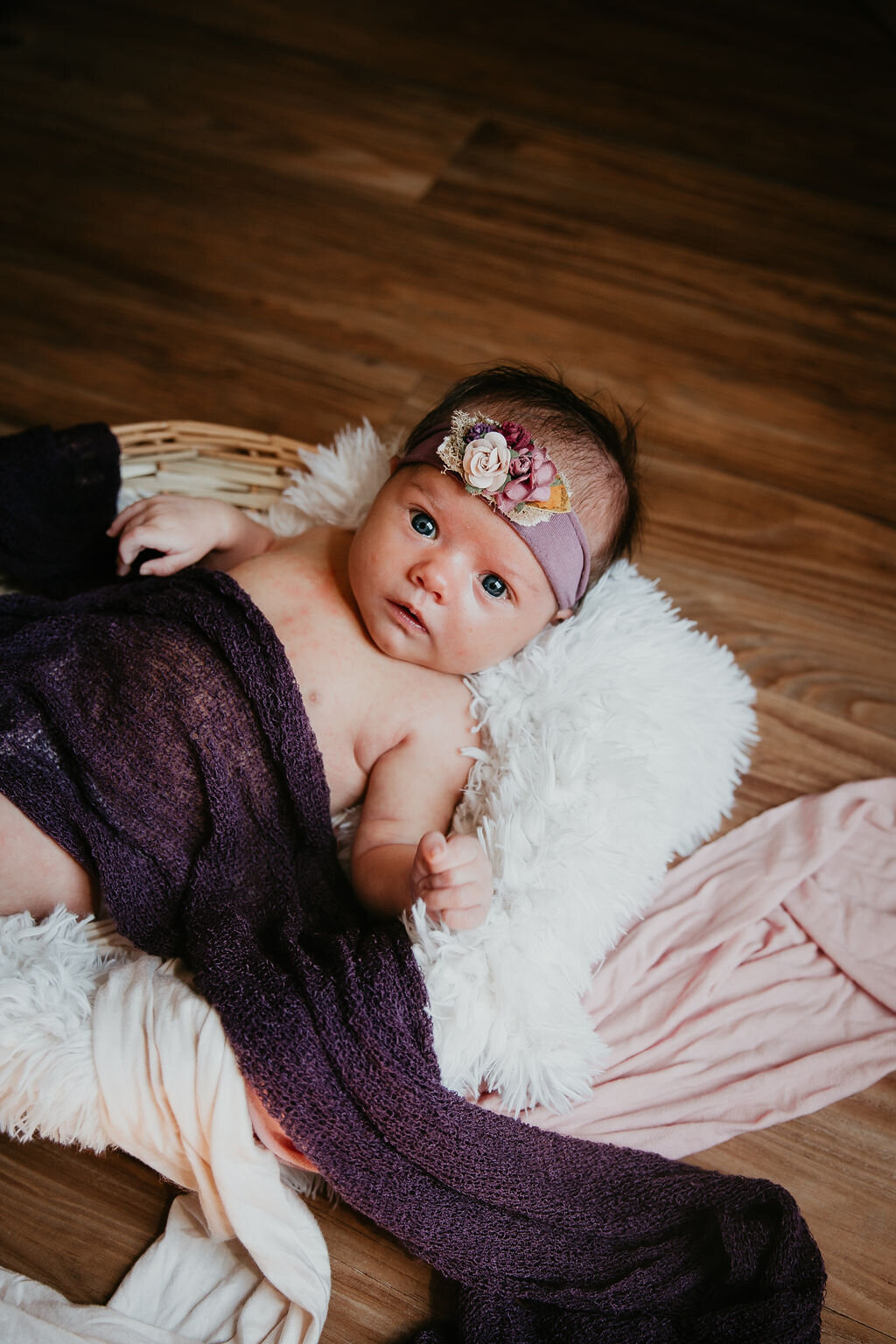 Newborn photography with Chelise Boysun