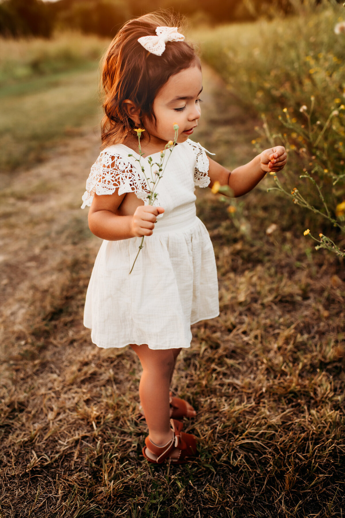 Family Photographer, Little girl picking flowers in the sunset.
