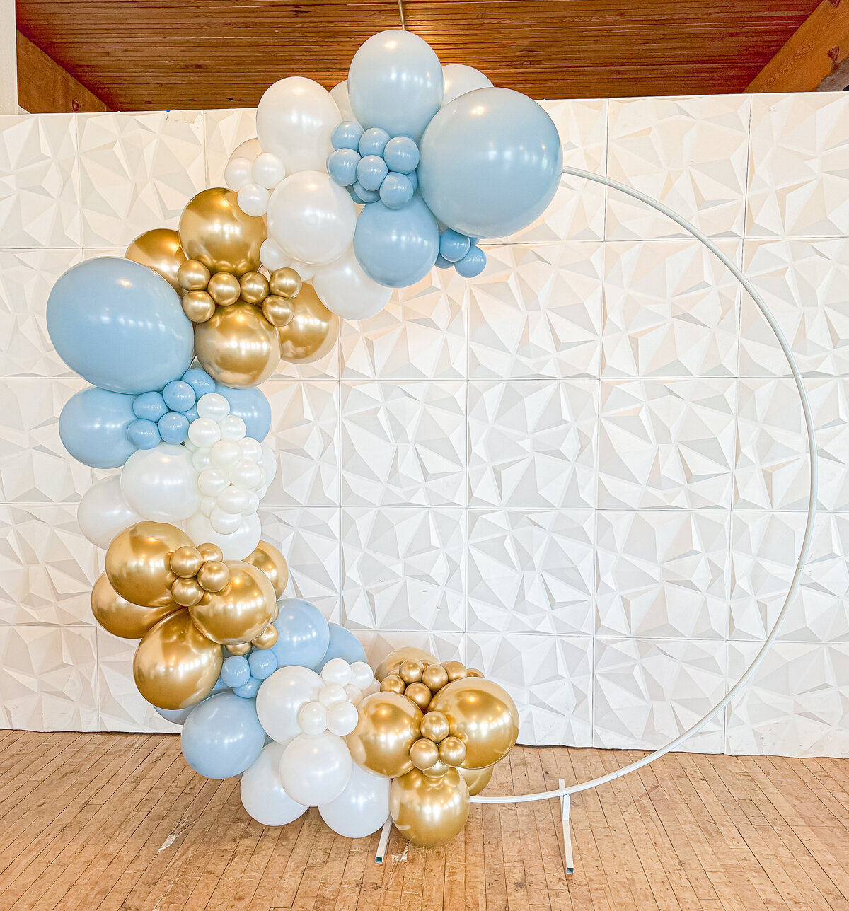 balloons-bismarck-nd-153