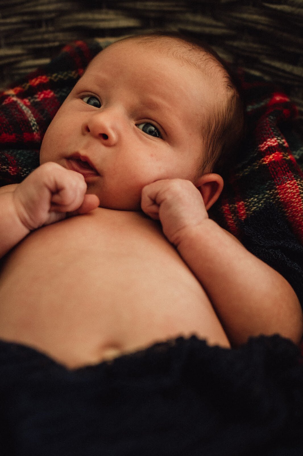 Beneath the Trees Photography Michigan Newborn Photographer 9
