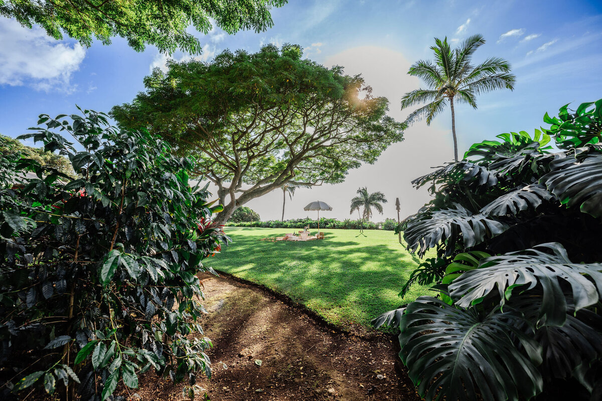 Hawaii-Engagement-Photos-Holualoa-Inn (6)