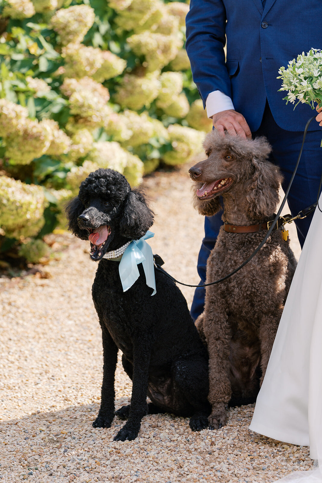 Pippin Hill Wedding Photographer_40
