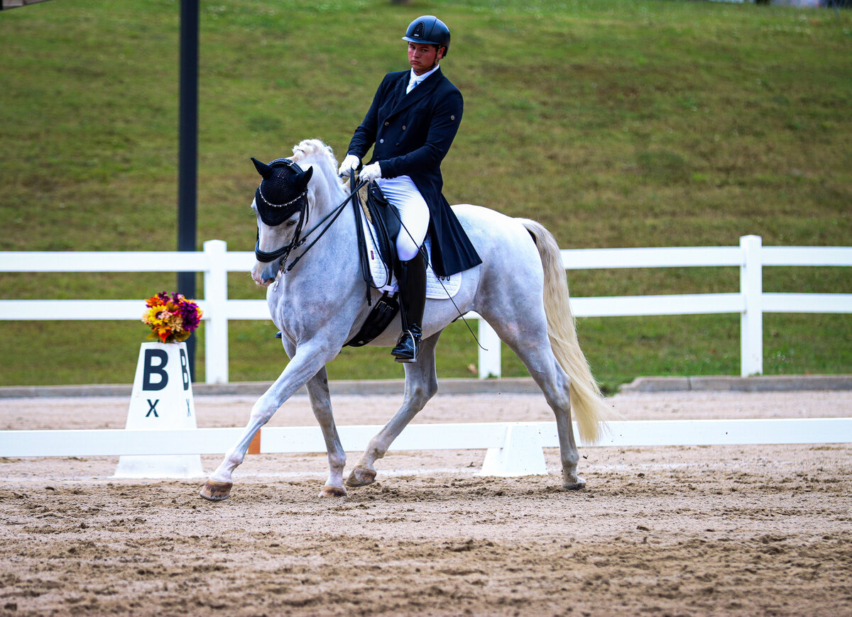 A grey horse doing a trot circle during a dressage show at GIHP in Conyers, GA.