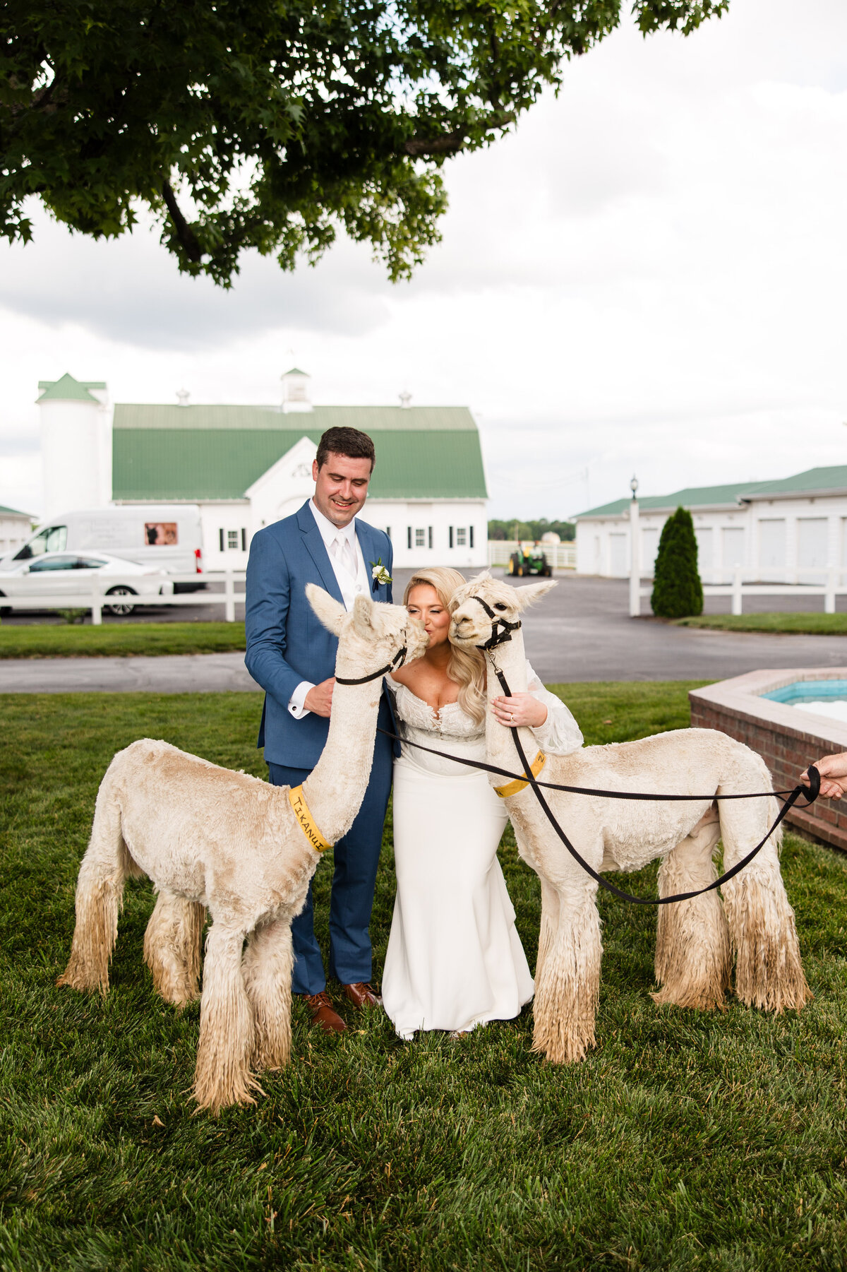 ashley-wedding-WR-104
