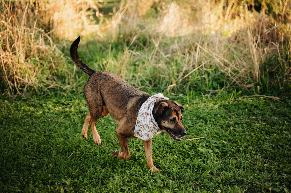 NicoleS_Fall2025_002