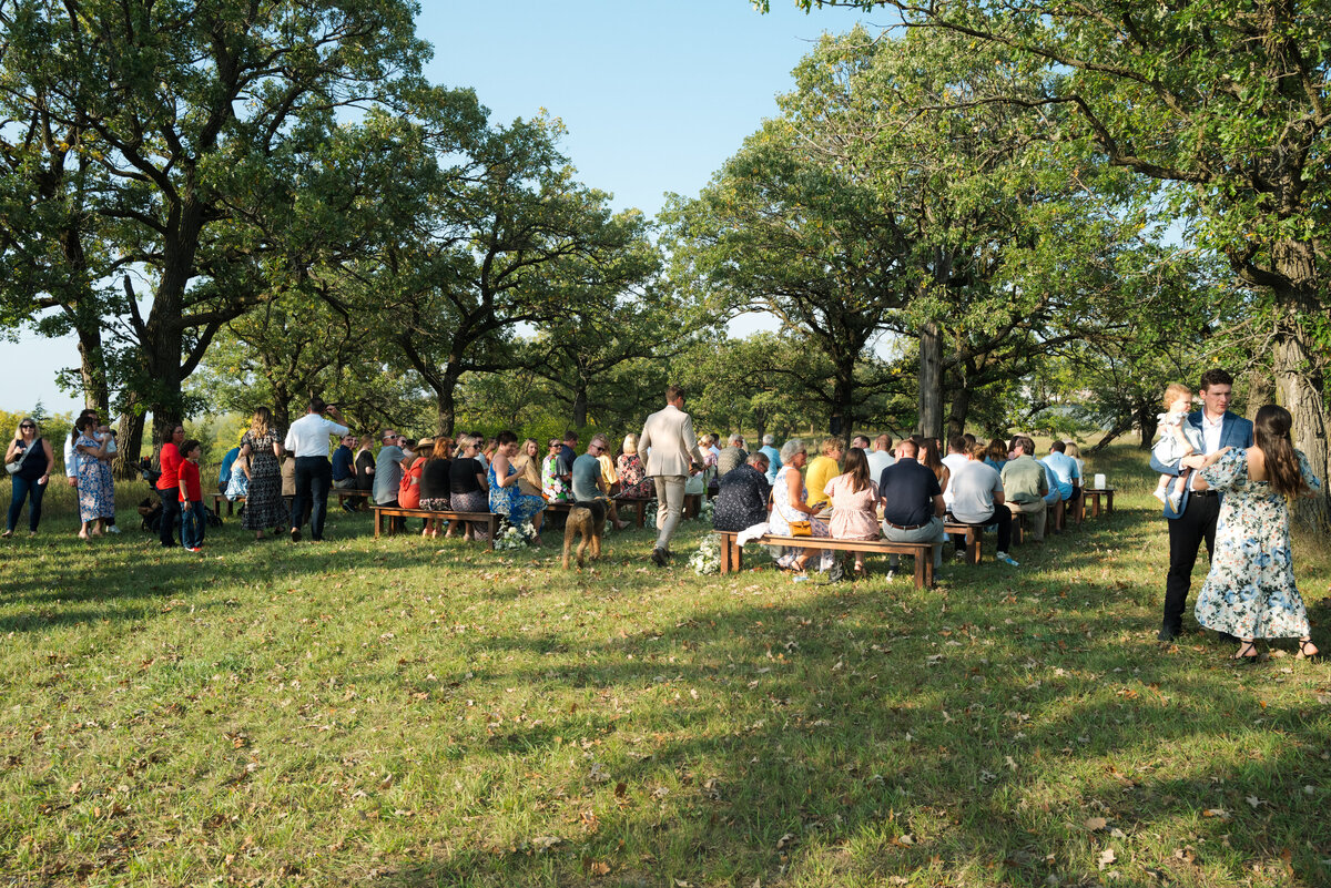 Backyard-Wedding-Rogers-MN-B&S-Will-DeGraw-Clever-Disarray-63